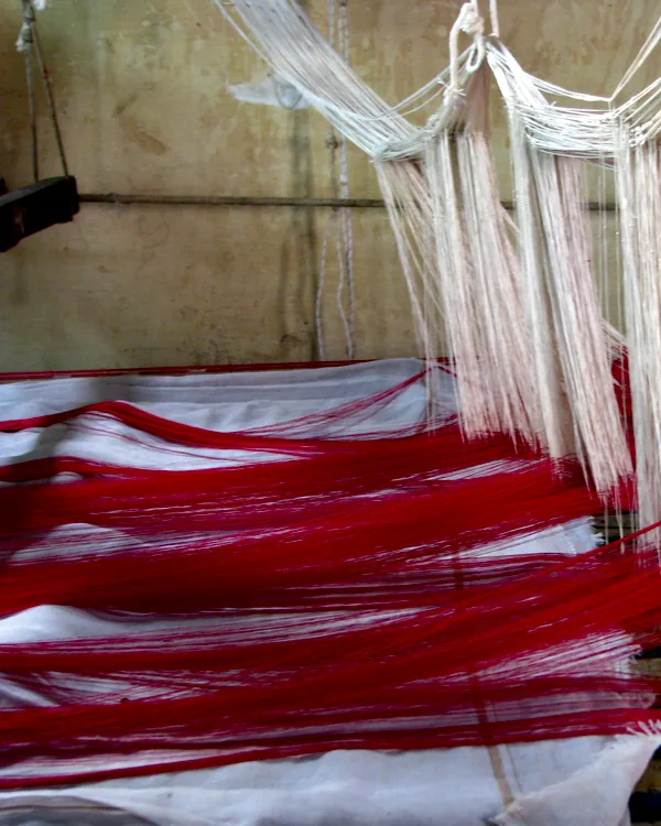 Silk warp threads stretched white and red across a handloom at Kanchipuram.