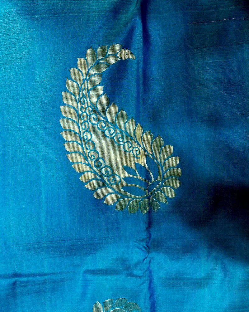 Peacock blue Kanchipuram silk with a large gold mango buti woven into the cloth.