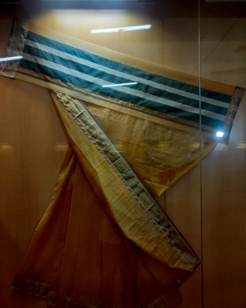 A sheer Maheshwari sari in old gold, its tissue border lying across the cloth.